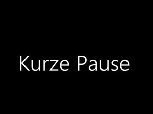 Screenshot from luggijack webcams