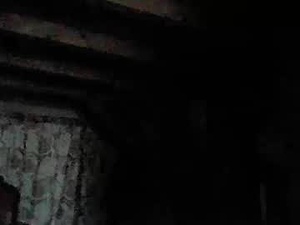 Screenshot from lumberjack_000 webcams