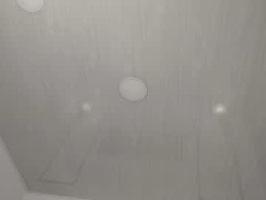 Screenshot from lunaanddante_ webcams