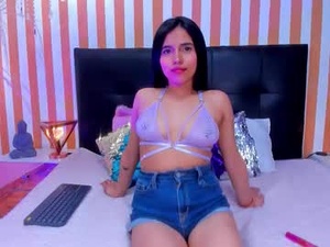 Screenshot from lunatoledo webcams