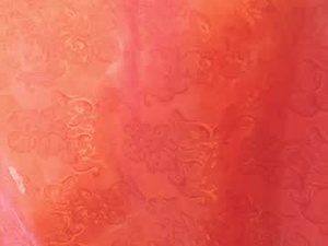 Screenshot from lupita_lora webcams