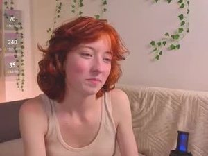 Screenshot from luvenianitschke webcams