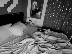 Screenshot from lyfsaver webcams