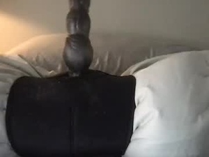 Screenshot from machaleur webcams