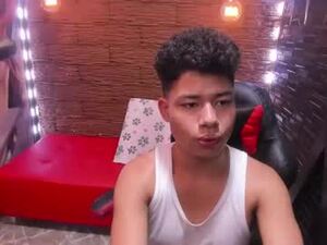 Screenshot from machmerevans webcams