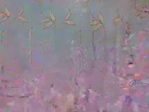 Screenshot from maella007 webcams
