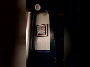 Screenshot from manoftheyear07 webcams