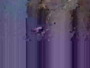 Screenshot from mantime30 webcams