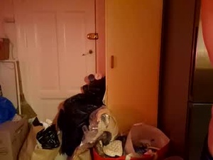 Screenshot from marehung1 webcams