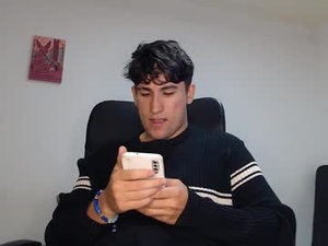 Screenshot from mario_neta__ webcams