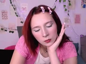 Screenshot from marylanee webcams