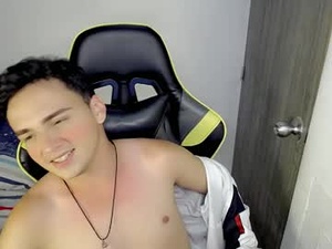 Screenshot from mathiass_twinkk_ webcams