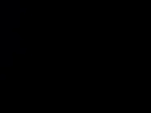 Screenshot from maxinean webcams