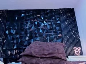 Screenshot from maxistanford webcams