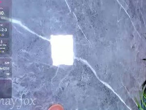 Screenshot from mayfox06 webcams