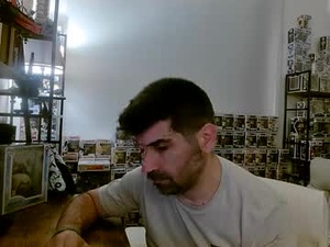 Screenshot from mds85 webcams