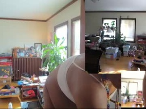 Screenshot from mercurybeetle webcams