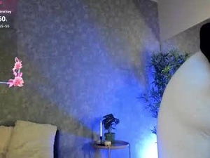 Screenshot from miahartx webcams