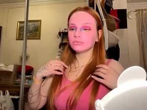 Screenshot from michelsogol webcams