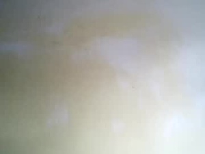 Screenshot from migz2026 webcams