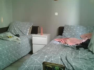 Screenshot from mikostriper webcams
