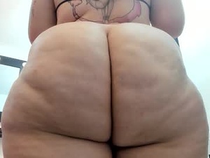 Screenshot from millers_rousse webcams