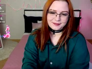 Screenshot from milleyscott webcams