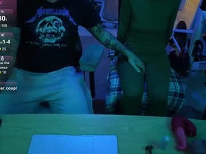 Screenshot from misfitfl webcams