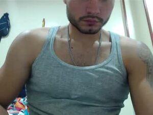 Screenshot from mistersam33 webcams