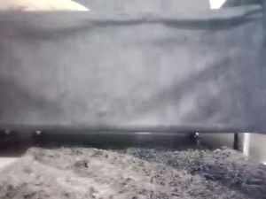 Screenshot from monalia17 webcams