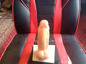 Screenshot from morefunforeveryone webcams