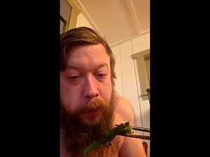 Screenshot from mr_cups webcams