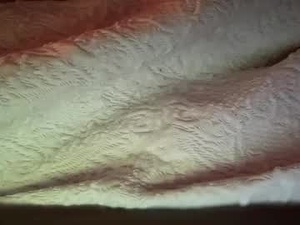 Screenshot from mr_owl webcams