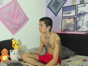 Screenshot from mrdick911 webcams