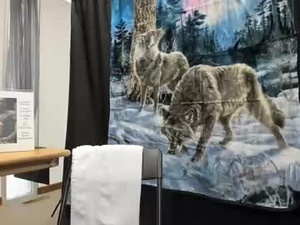 Screenshot from mromg007 webcams