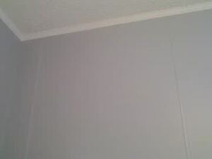 Screenshot from mrshotrobinson webcams