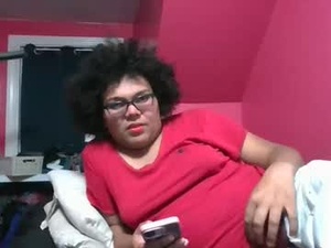 Screenshot from msmorganmills webcams