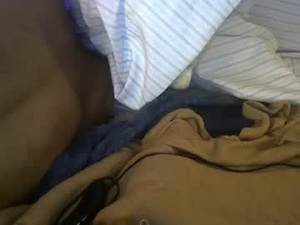 Screenshot from muttbatorman webcams