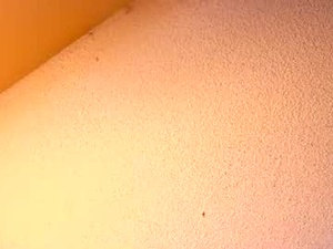 Screenshot from mykingofhearts webcams