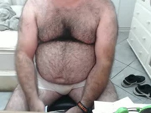 Screenshot from mysterbear webcams