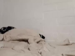 Screenshot from mysterywolf91 webcams