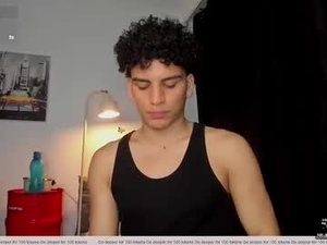 Screenshot from naxttan webcams