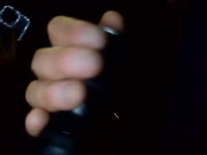 Screenshot from ndavidandcata webcams