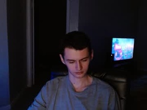 Screenshot from nextboyraw webcams