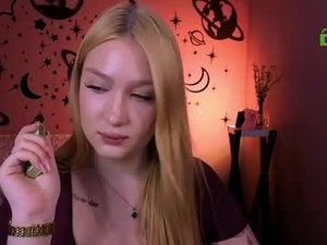 Screenshot from nikkalee webcams