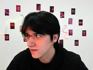 Screenshot from niko_vorn webcams