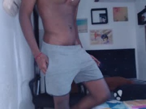 Screenshot from nineeleeven_911 webcams