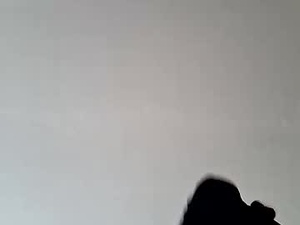 Screenshot from nixotee webcams