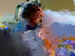 Screenshot from nllatino webcams