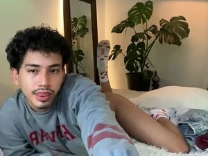 Screenshot from noah_and_steven webcams